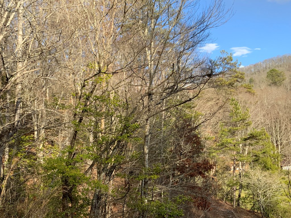 Lot 1 Ivy Log Rd Property Photo 16