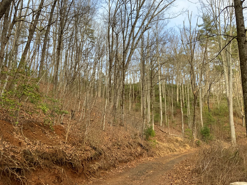 Lot 4 Ivy Log Rd Property Photo 2