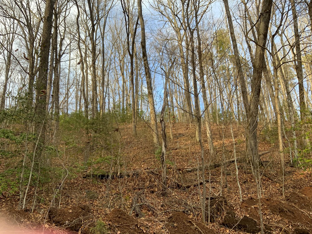 Lot 4 Ivy Log Rd Property Photo 3