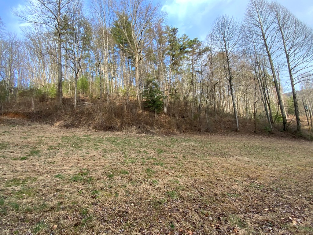 Lot 4 Ivy Log Rd Property Photo 4