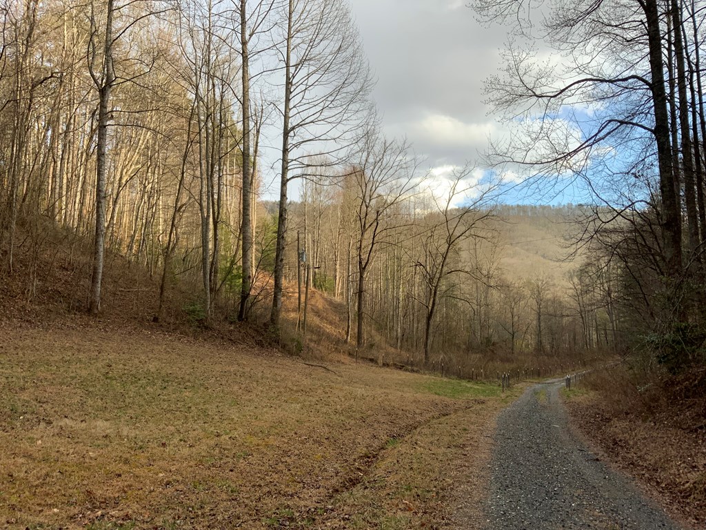 Lot 4 Ivy Log Rd Property Photo 5