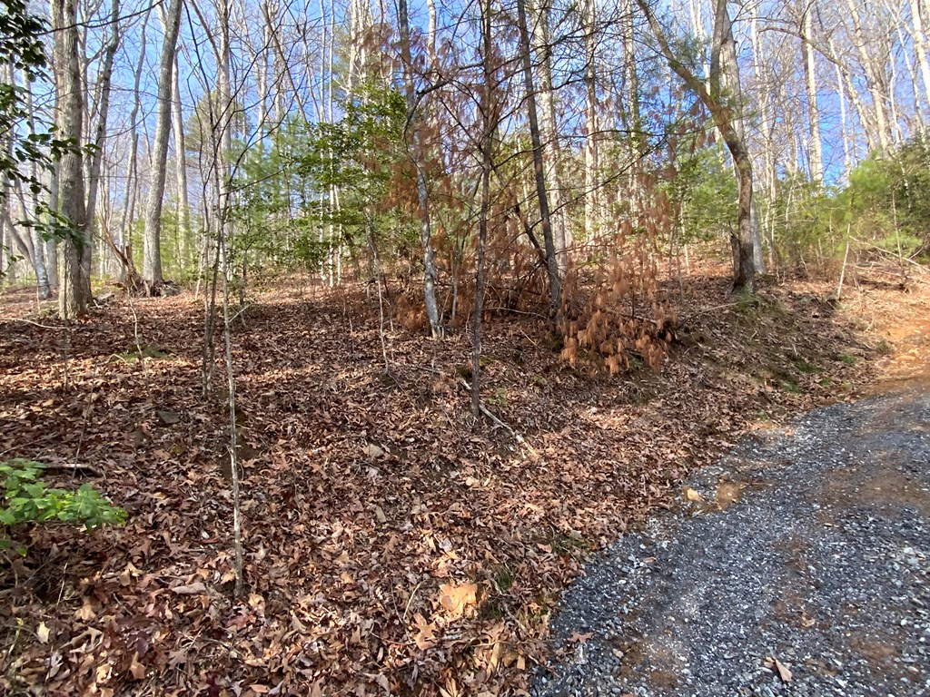 Lot 4 Ivy Log Rd Property Photo 7