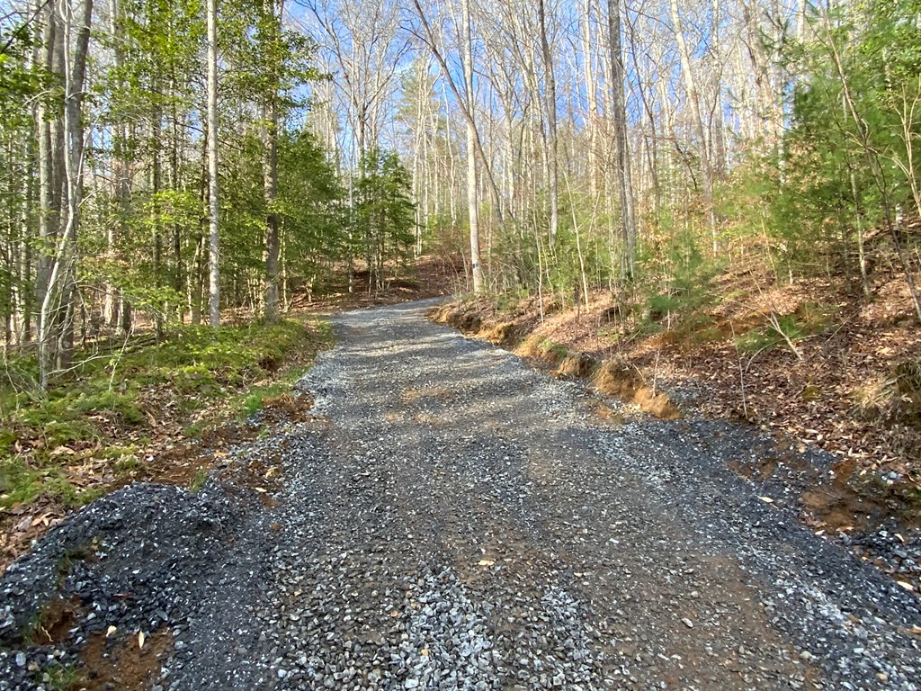 Lot 4 Ivy Log Rd Property Photo 9