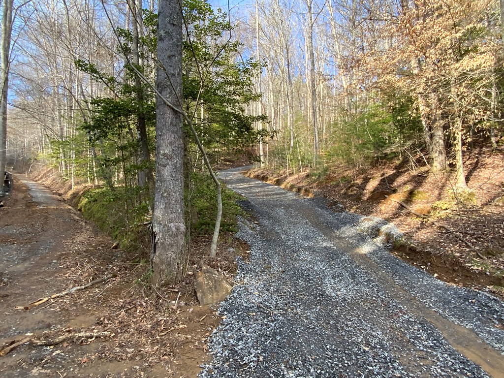 Lot 4 Ivy Log Rd Property Photo 10
