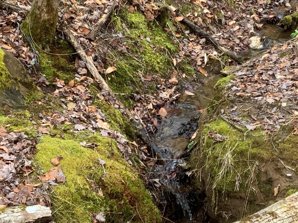 Lot 4 Ivy Log Rd Property Photo 12