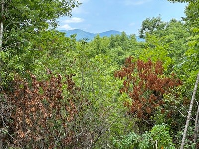 667 Long Branch Property Photo 19