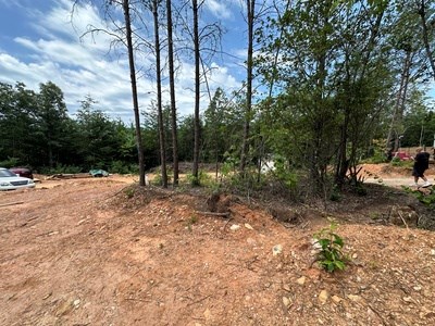 667 Long Branch Property Photo 29
