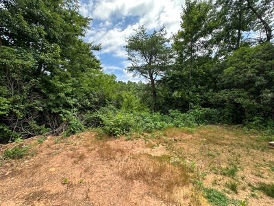 667 Long Branch Property Photo 30