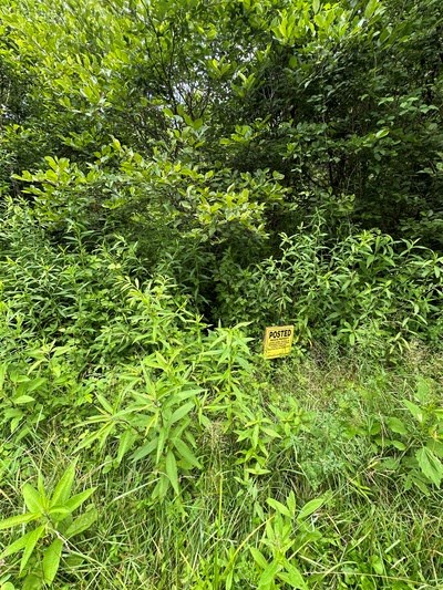 667 Long Branch Property Photo 32