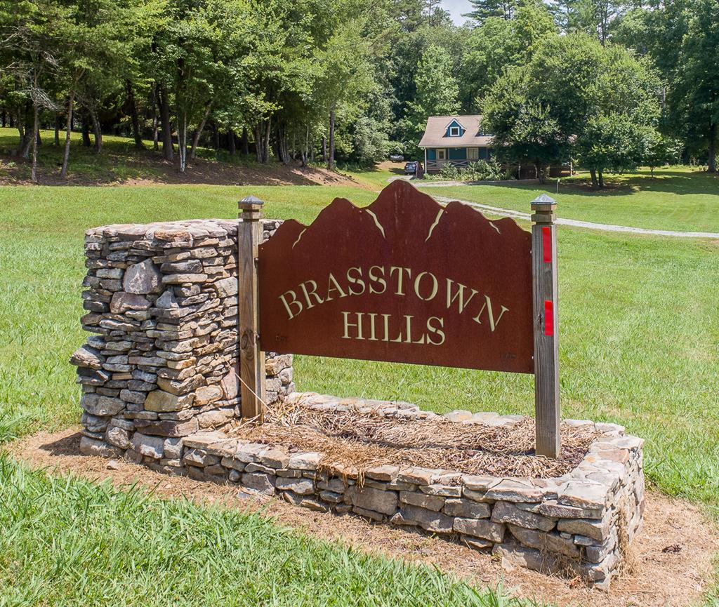 295 Brasstown Hills Rd Property Photo 4
