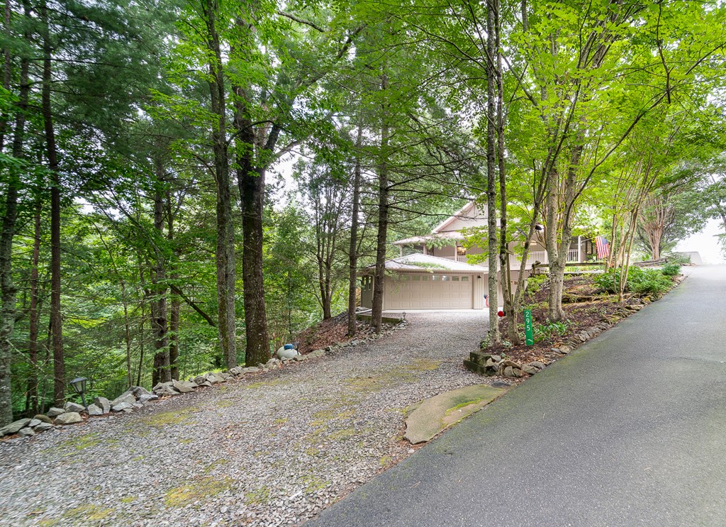 295 Brasstown Hills Rd Property Photo 5
