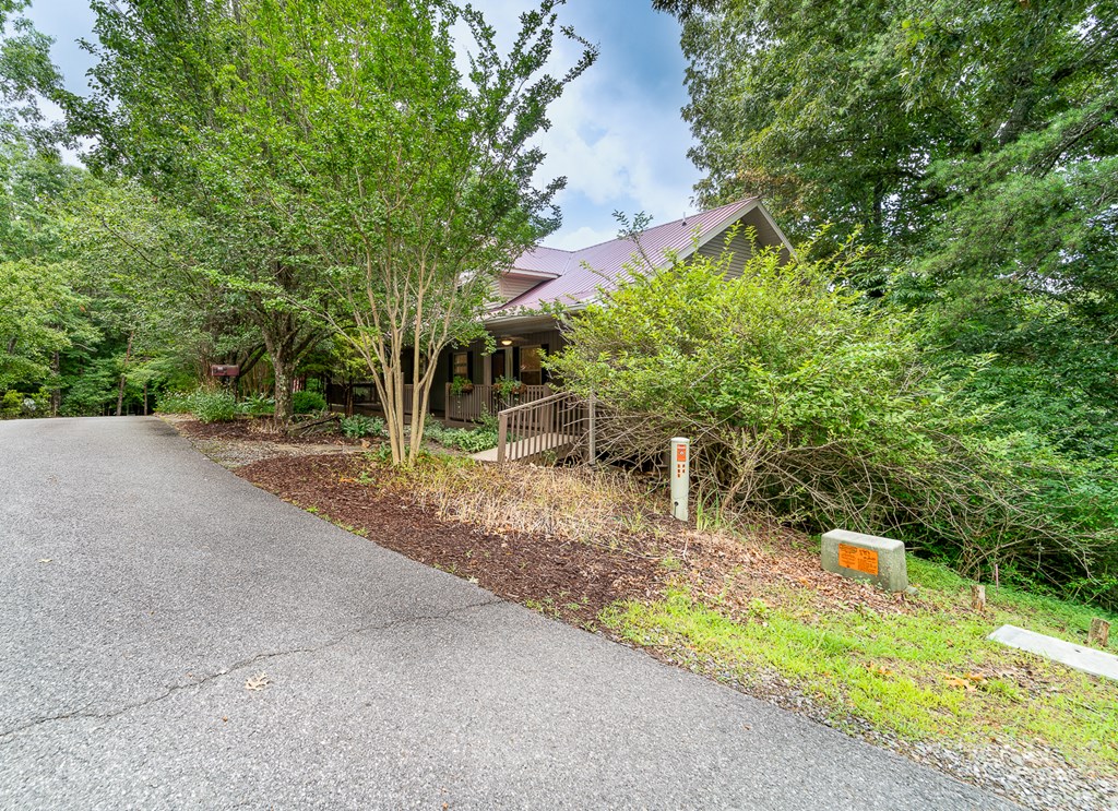 295 Brasstown Hills Rd Property Photo 6