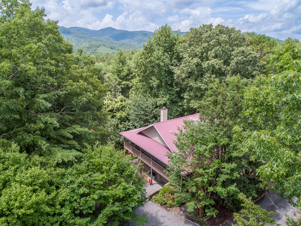 295 Brasstown Hills Rd Property Photo 36