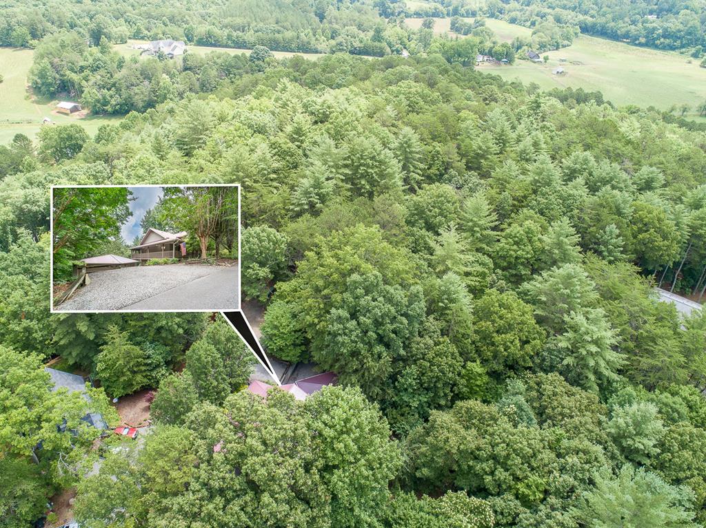 295 Brasstown Hills Rd Property Photo 38