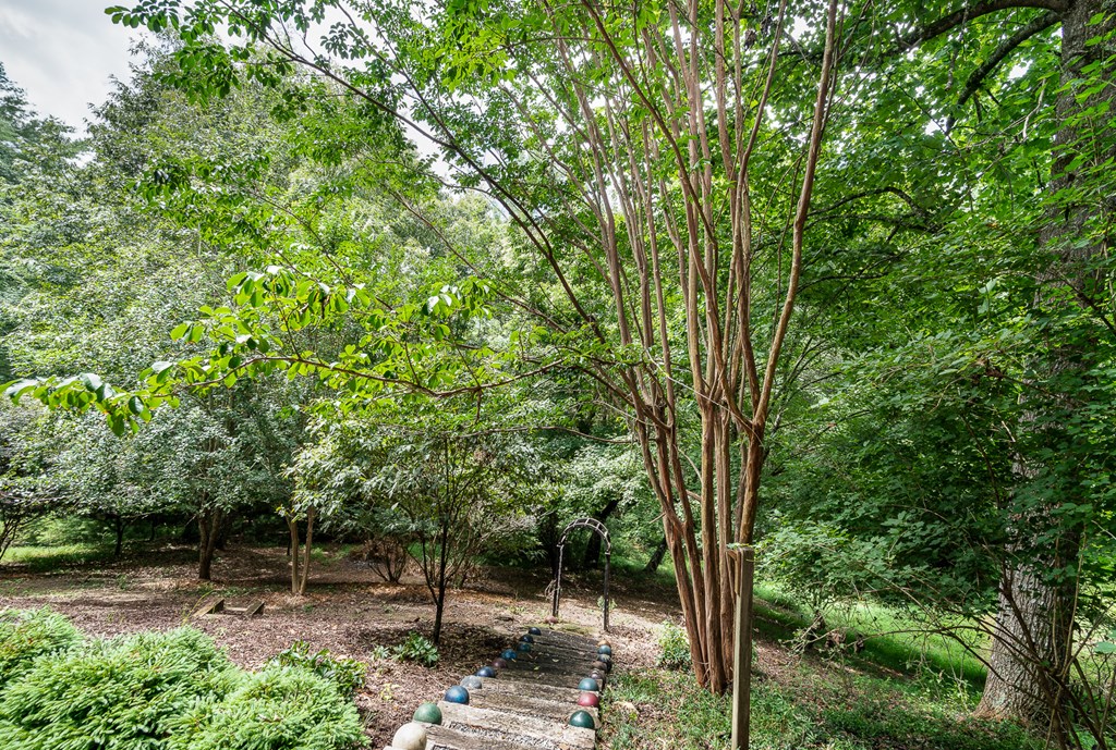295 Brasstown Hills Rd Property Photo 59
