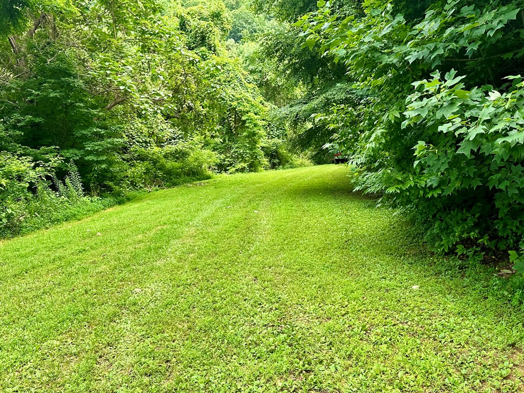 Lot 32 Shiloh Trail Property Photo 4