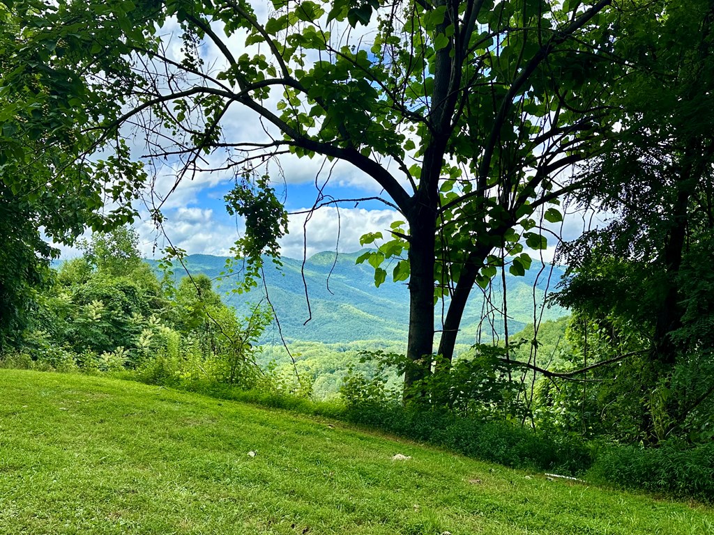 Lot 32 Shiloh Trail Property Photo 5