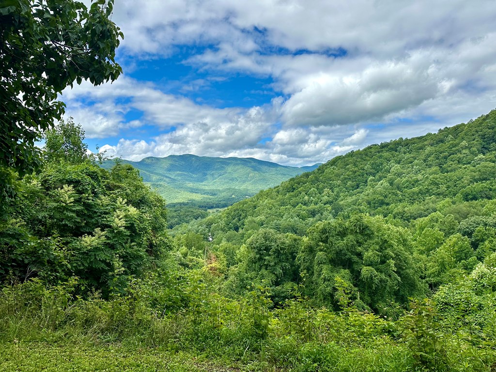 Lot 32 Shiloh Trail Property Photo 6