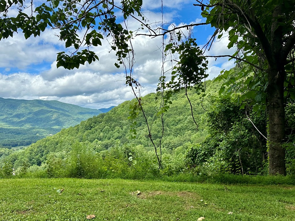 Lot 32 Shiloh Trail Property Photo 8