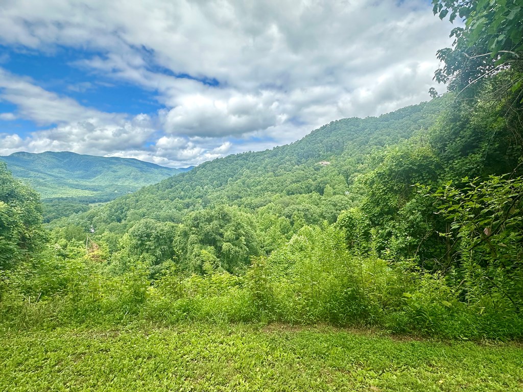 Lot 32 Shiloh Trail Property Photo 11