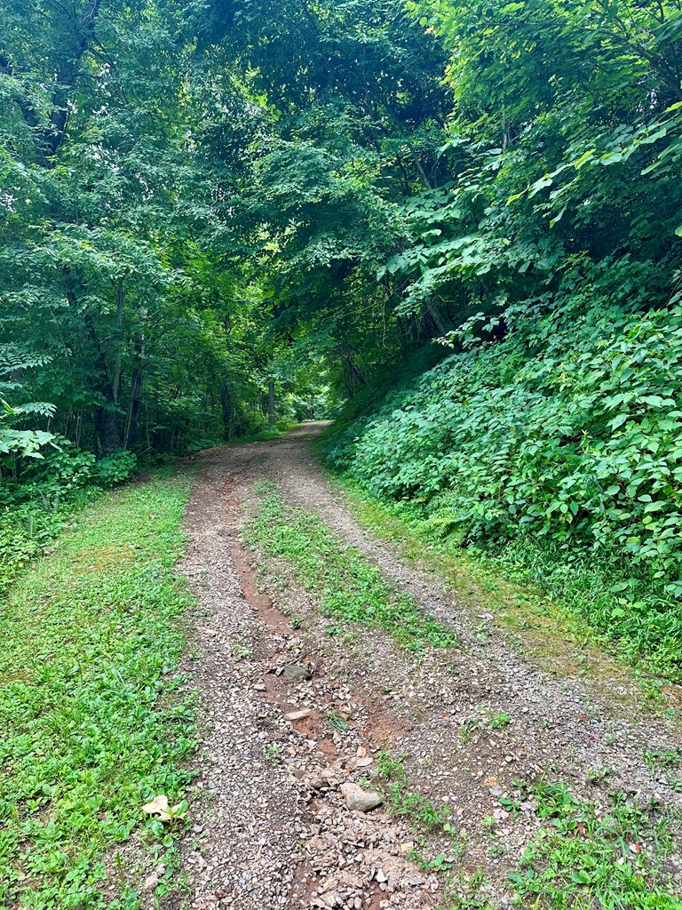 Lot 32 Shiloh Trail Property Photo 15