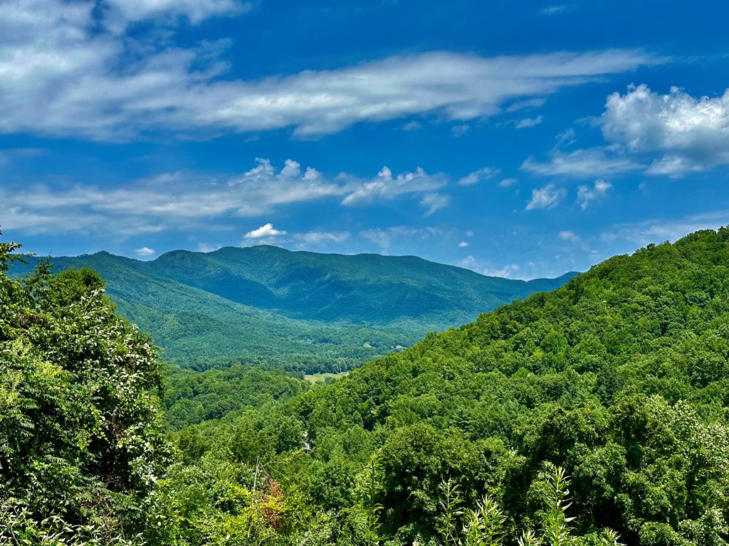 Lot 32 Shiloh Trail Property Photo 26