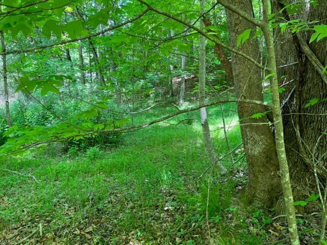 Lot 5 Pine Ridge Dr Property Photo 2