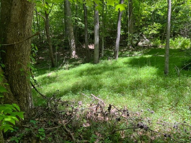 Lot 5 Pine Ridge Dr Property Photo 3