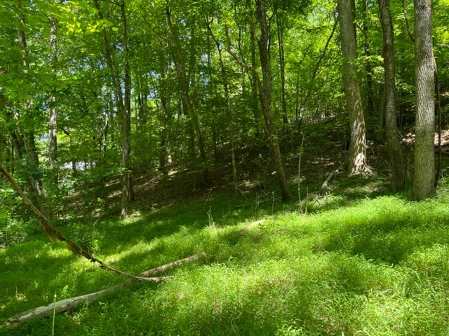 Lot 5 Pine Ridge Dr Property Photo 4