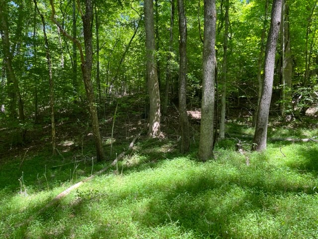 Lot 5 Pine Ridge Dr Property Photo 5