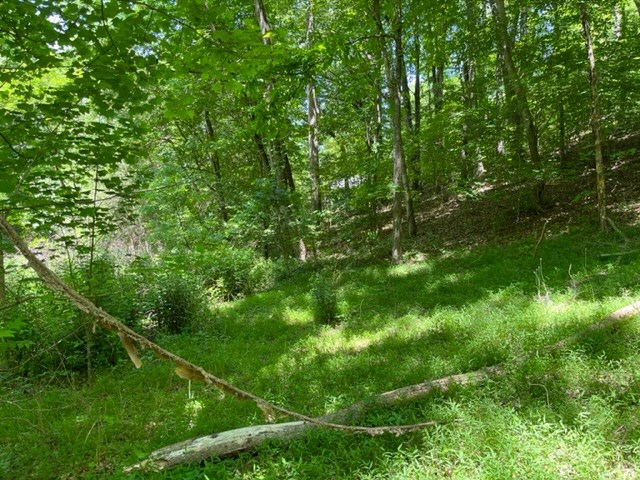 Lot 5 Pine Ridge Dr Property Photo 7