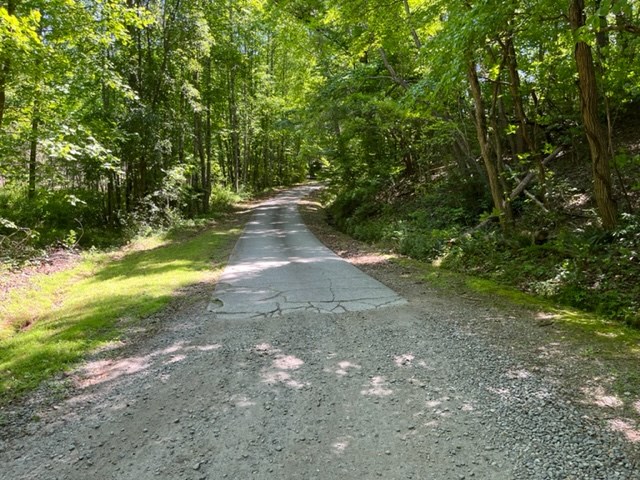 Lot 5 Pine Ridge Dr Property Photo 8