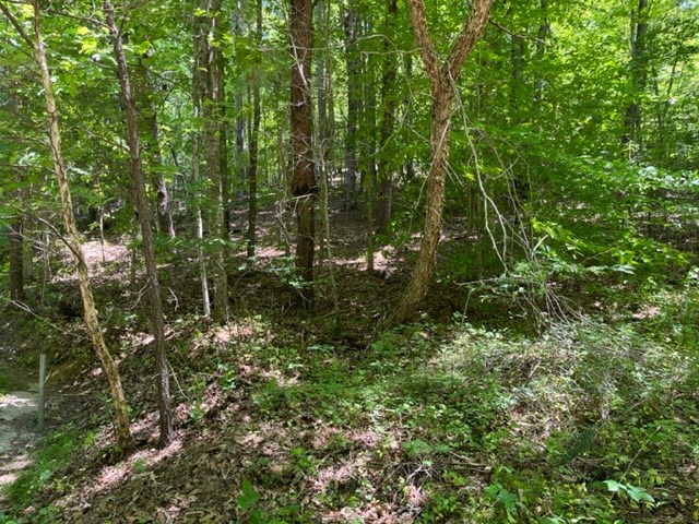 Lot 5 Pine Ridge Dr Property Photo 9