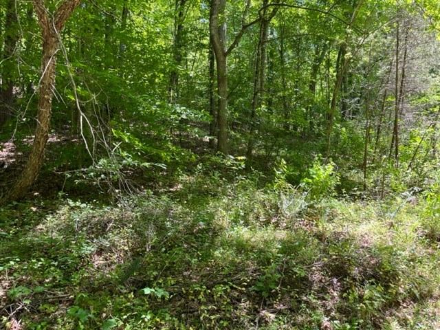 Lot 5 Pine Ridge Dr Property Photo 10