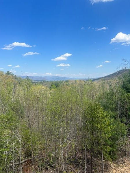711 Point Overlook Trail Property Photo 2