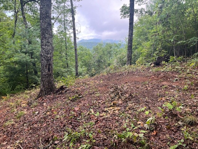 Lot 37 Skyview Dr Property Photo 4