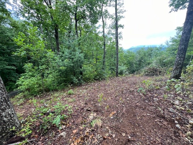 Lot 37 Skyview Dr Property Photo 6