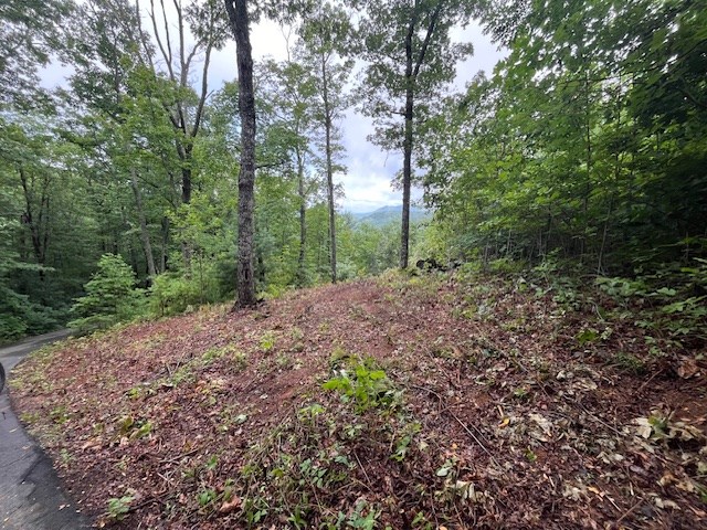 Lot 37 Skyview Dr Property Photo 7