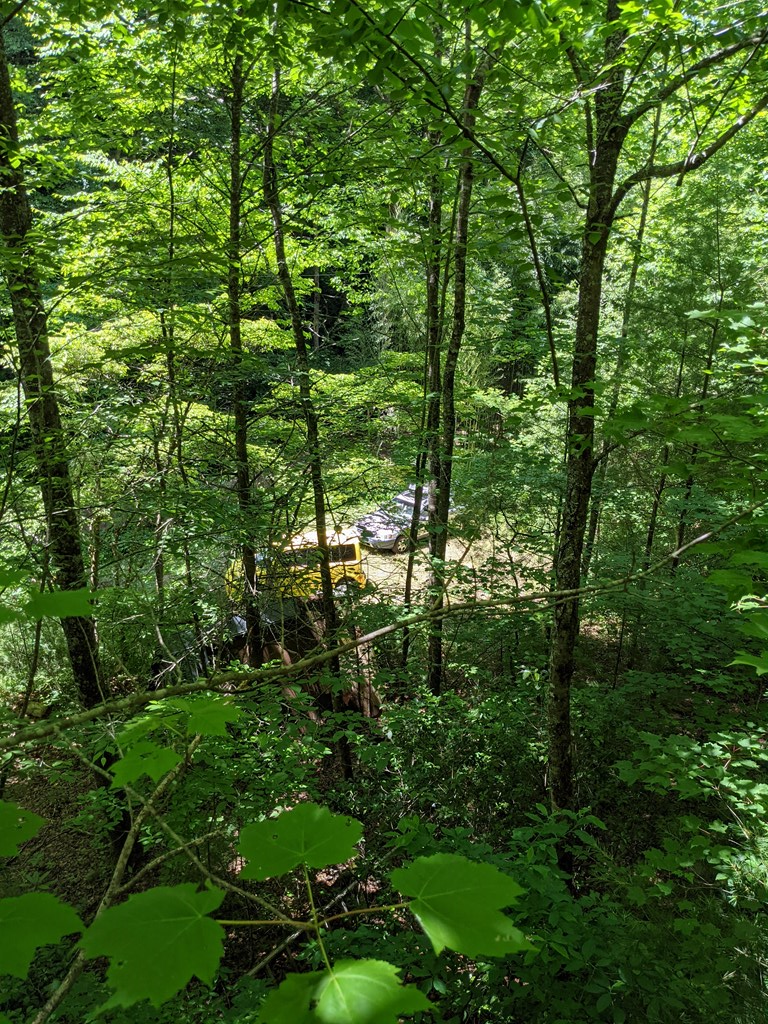 3.38 Long Creek Property Photo 7