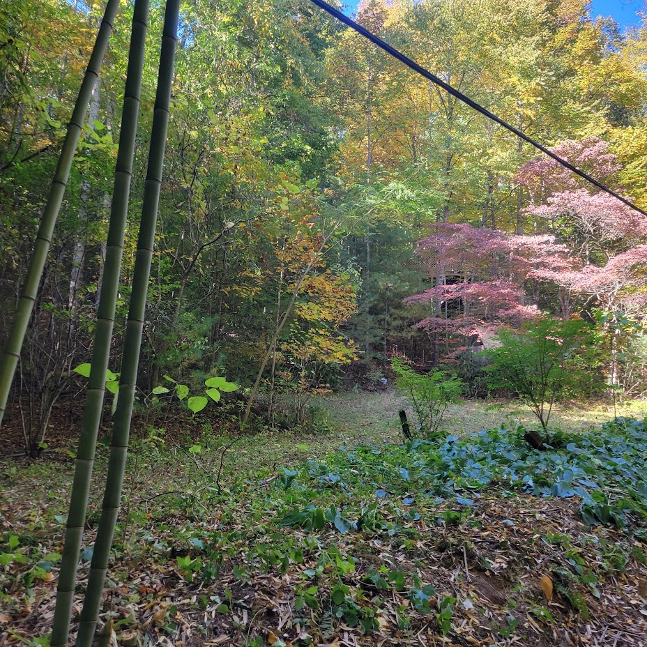 3.38 Long Creek Property Photo 12