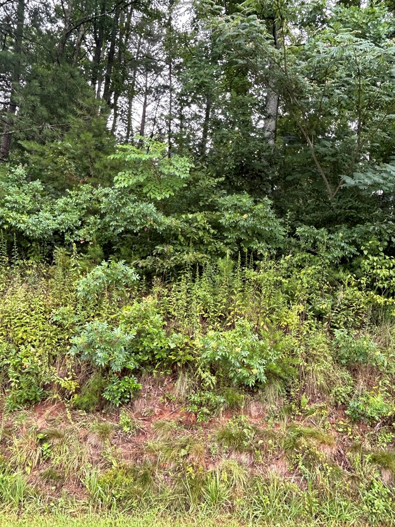 0 Chimney Top Trail Property Photo 2
