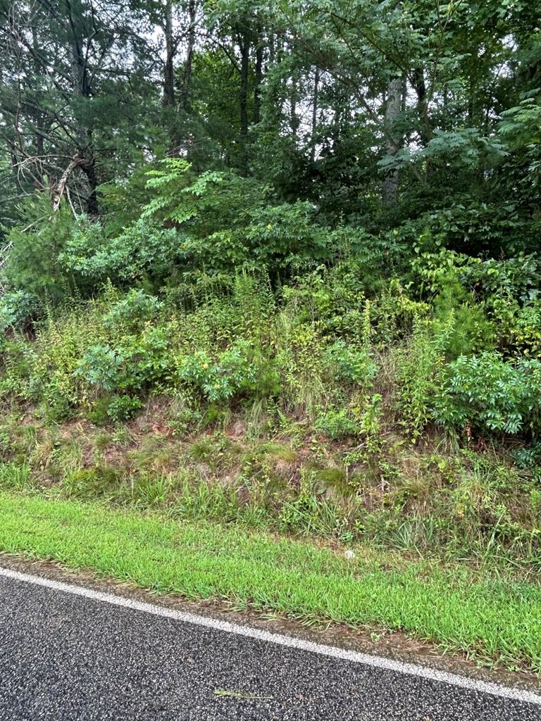 0 Chimney Top Trail Property Photo 3