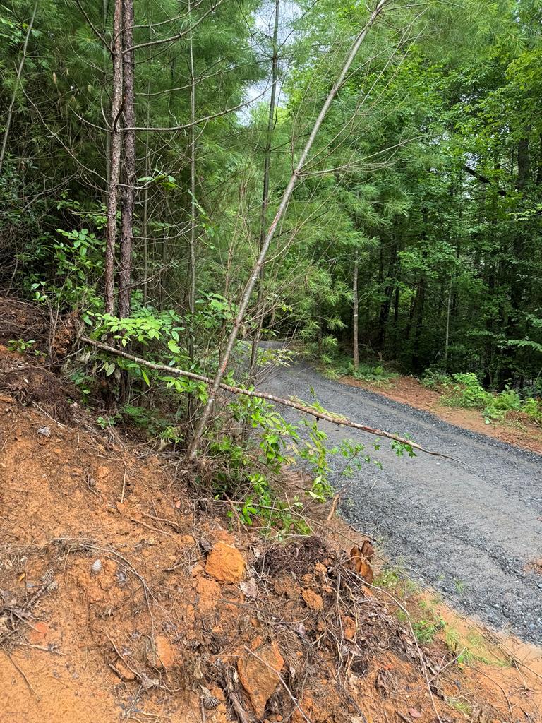 00 Owl Creek Rd Property Photo