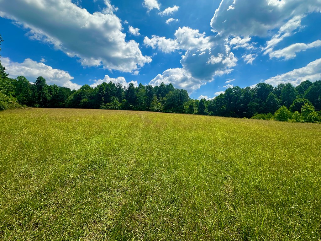 8427 Gum Log Rd Property Photo 2