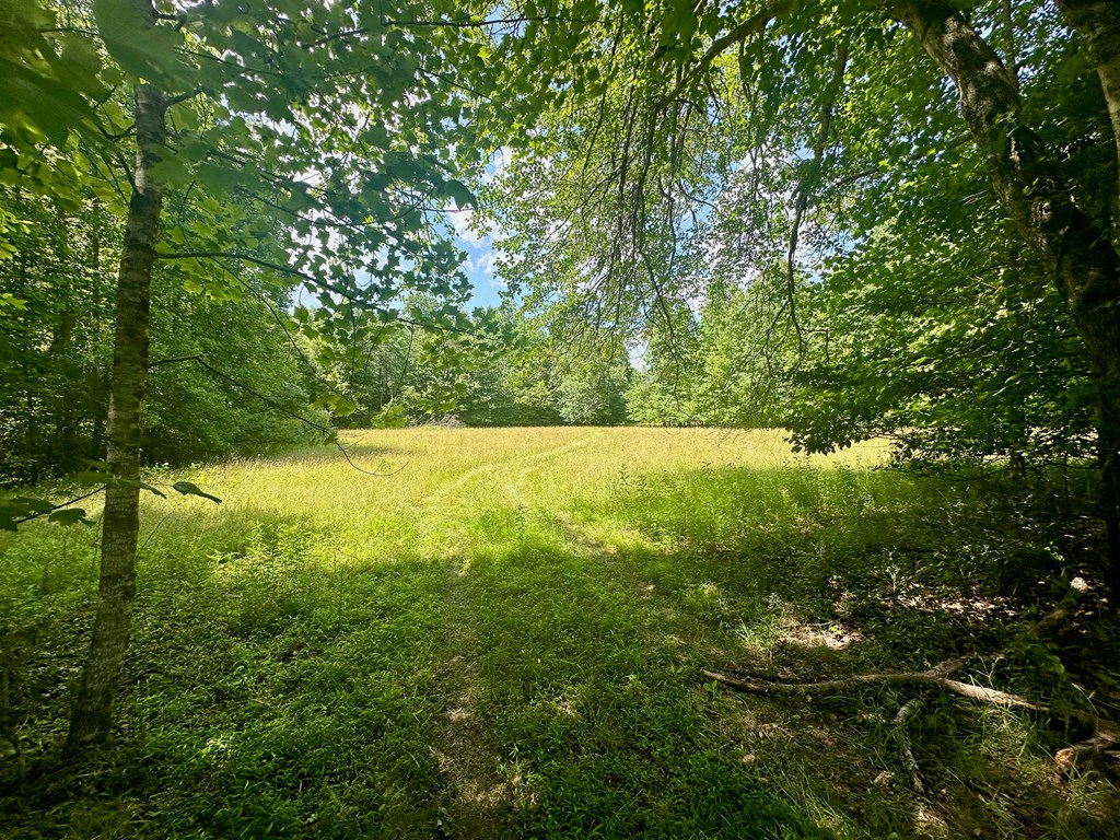 8427 Gum Log Rd Property Photo 4