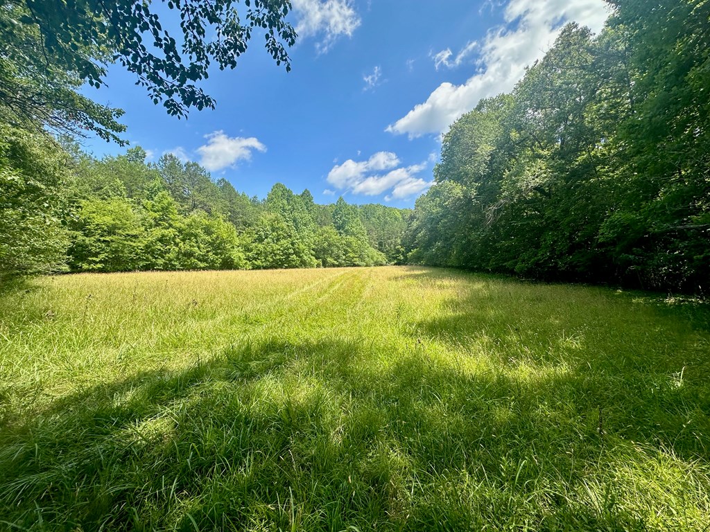 8427 Gum Log Rd Property Photo 5