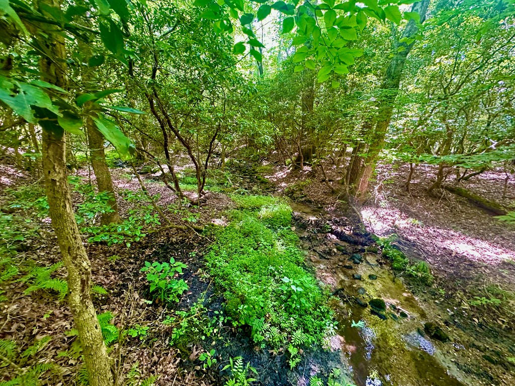 8427 Gum Log Rd Property Photo 6