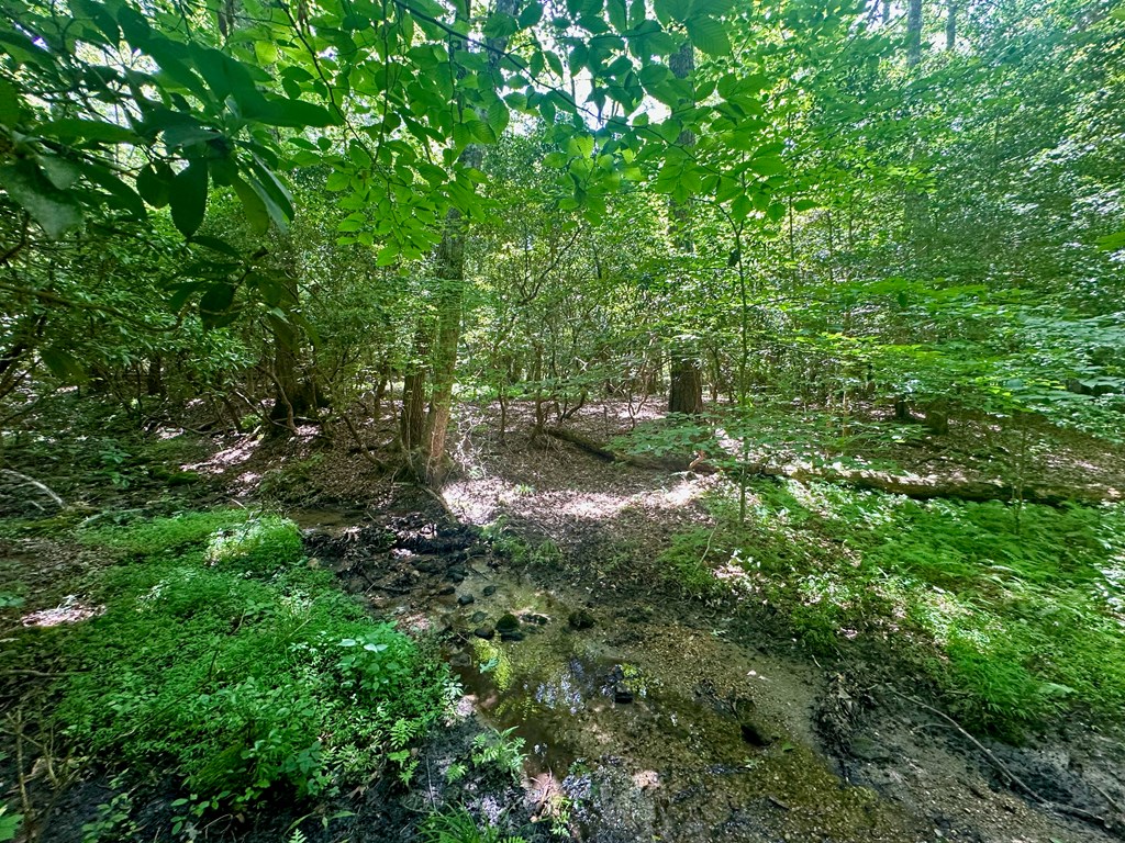 8427 Gum Log Rd Property Photo 8