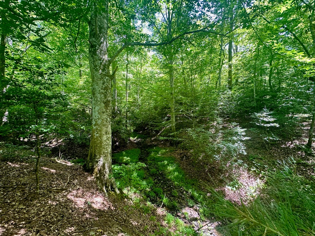 8427 Gum Log Rd Property Photo 9
