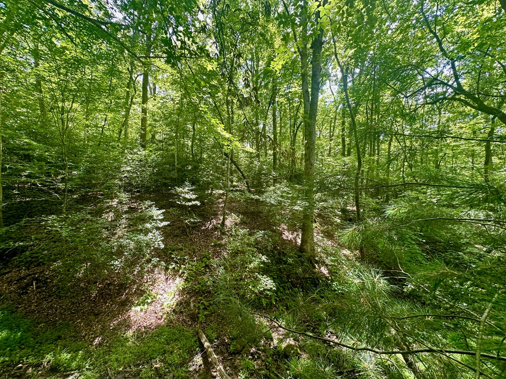 8427 Gum Log Rd Property Photo 11